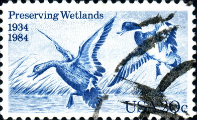 Preservating Wetlands. 1934-1984. US Postage.