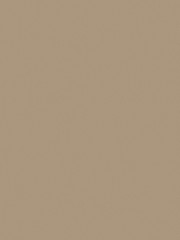 Light brown leather texture background