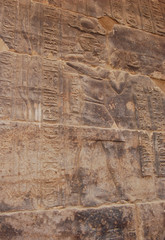 Egyptian relief in Philae temple, Aswan, Egypt