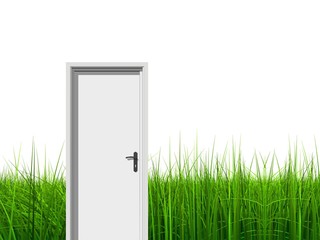 High resolution door on grass isolated