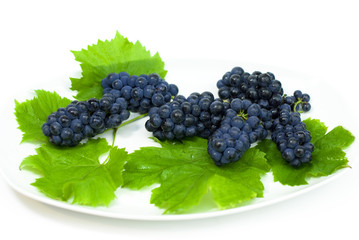 Black grapes and Sea ​​buckthorn on a white background