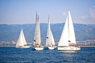 Plakat Sailing ship yachts with white sails