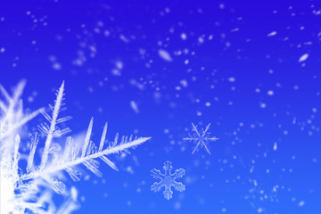 Schneeflocken - Snowflakes