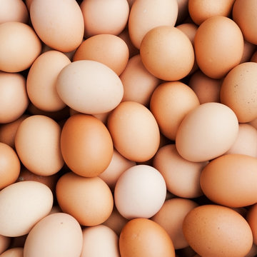 hens eggs