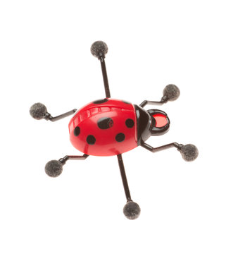 Toy Ladybug on white