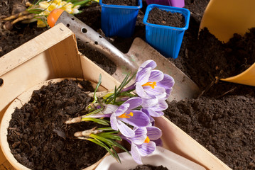 gardening