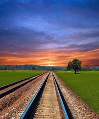 Railway in field