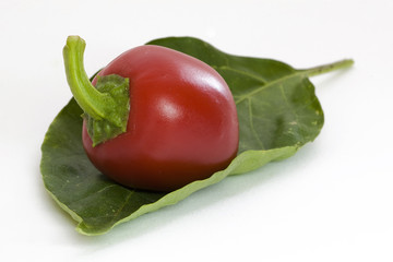 Paprika