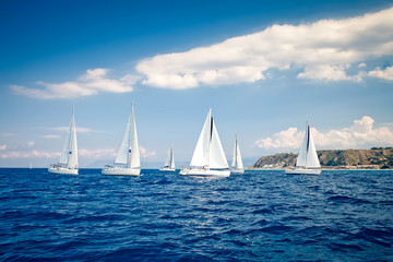 Sailing ship yachts with white sails