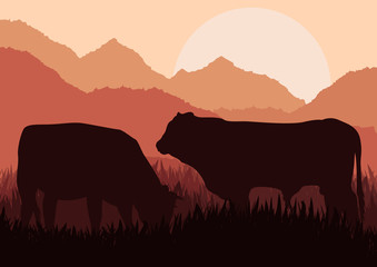 Beef cattle in wild nature landscape illustration