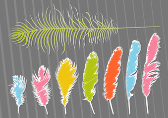 Colorful bird feathers illustration collection background