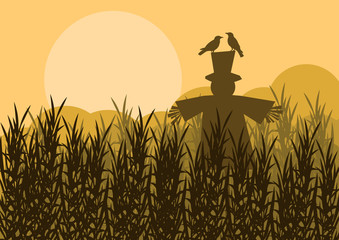 Scarecrow in corn field autumn countryside landscape background