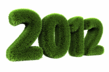 Obraz na płótnie Canvas Grass Year 2012