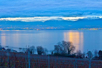 Dawn at a Swiss Vineyard