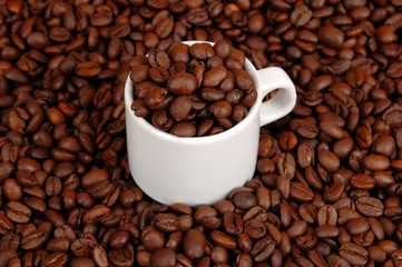 Coffee cup