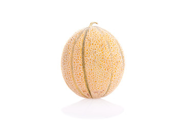 Cantaloupe