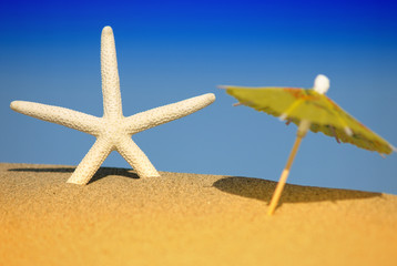 Fototapeta na wymiar Starfish on a sand beach