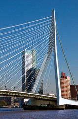 View of Erasmusbrug over Rotte river at Rotterdam - Netherlands