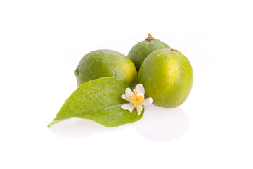 Limes On White