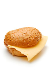 Sandwich with cheese on a white background