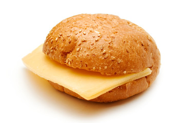 Sandwich with cheese on a white background