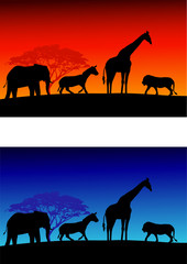 Fototapeta na wymiar Safari silhouette