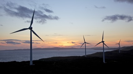 Obraz premium Albany Wind Farm