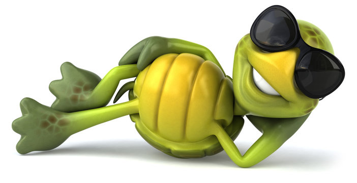 Tortue et lunettes de soleil