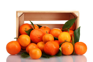 Ripe tasty tangerines with leaves in wooden box dropped isolated