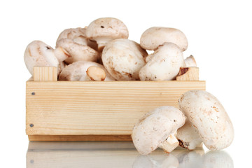 fresh mushrooms in a wooden box isolated on white