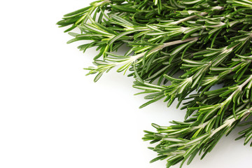 fresh green rosemary isolated on white
