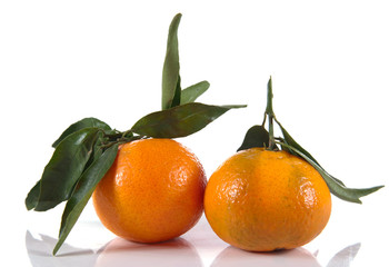 clémentines avec les feuilles