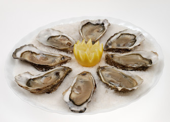 assiette d'huîtres