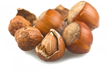 open hazelnut on white background