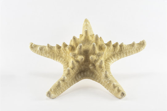 EstrelladeMar