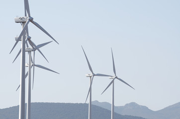 windmills