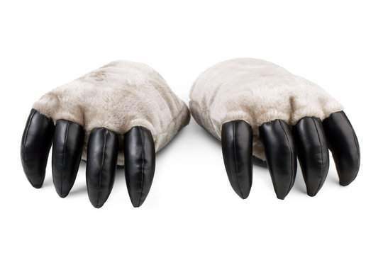 Teddy bear's paws with claws