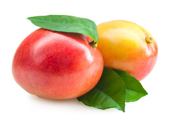 Fototapeta na wymiar mango