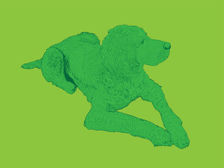 isolated hound dog - illustration