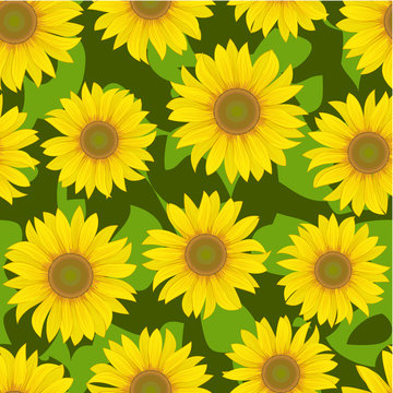 sunflower flower seamless background