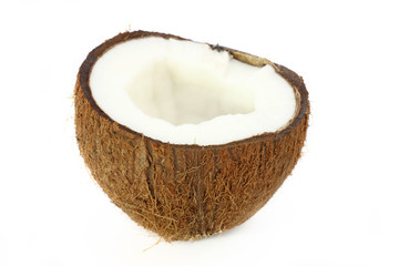 Coconut