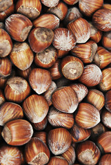 haselnüsse