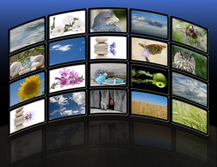 Sala de televisión con imágenes relajantes de naturaleza.