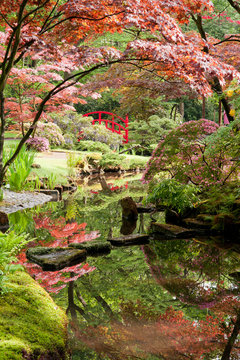 Japanese garden Monet-style