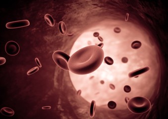 Blood flowing through an artery (Red Globules)