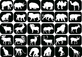 Naklejka premium collection of animals icons