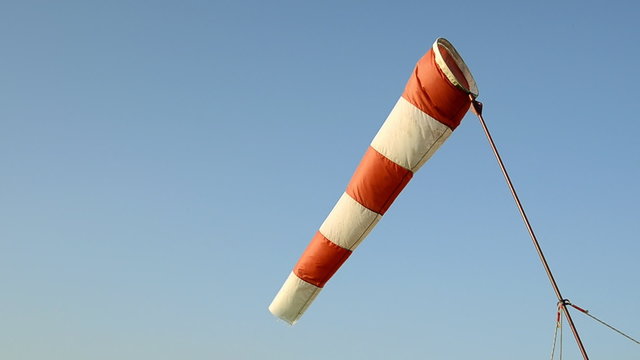 Flaunting weathercock
