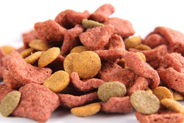 croquettes pour chien