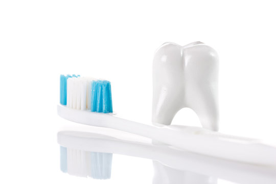 toth and toothbrush isolated on white background