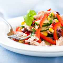 Vegetable salad with tuna and fresh herbs